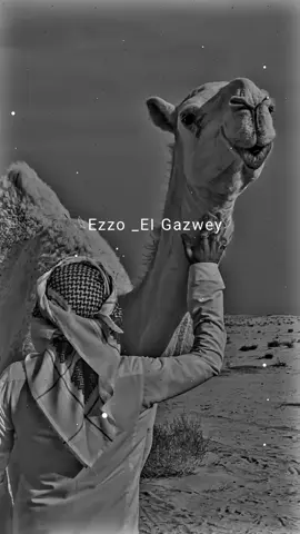 @مهناك حال ايدوم ✋🏻🔥  والله مخسرنا غير الا الي جباته المصلحه ...  #تصميم_فيديوهات🎶🎤🎬 #fyd #fffffffffffyyyyyyyyyyypppppppppppp #ليبيا #بنغازي #yyyyyyyyyyyyyyyyyyyyyyyyyyyyyy #الزنتان_طرابلس_مصراته_الزاويه_ليبيا🇱🇾 #اصحاب_المصلحه #طرابلس_بنغازي_المرج_البيضاء_درنه_طبرق #talent_category_mu #fydddddddddddddddddddddd 