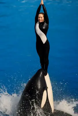 Jessica last moment video viral video dolphin incident #dolphinincident #orcastrainerincident #orcaincident #dolphinattack #tarmrietollison 