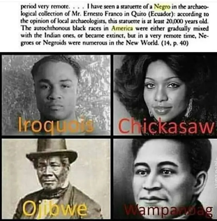 💯🦅🍂💥🪶🔥🐢🍁🏹🤷🏾😎