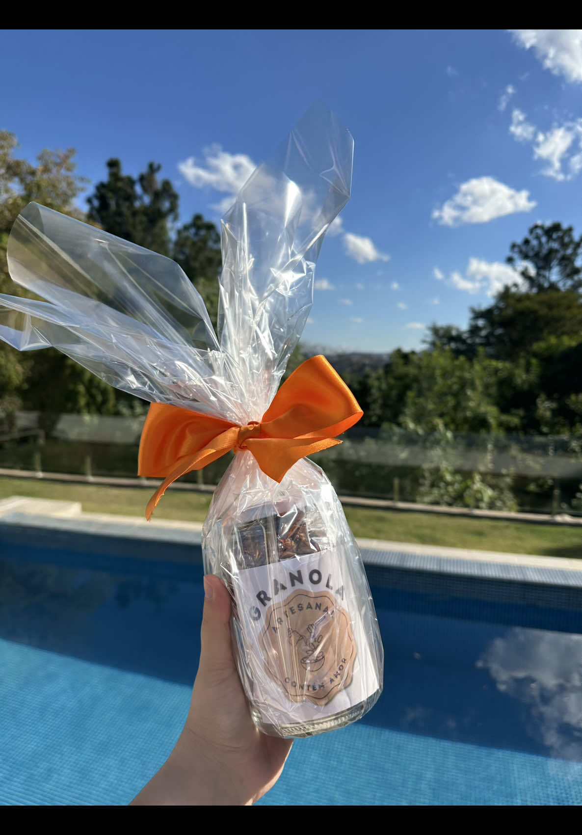 Como foi o dia dos pais por ai? #granola #asmr #feitoemcasa 