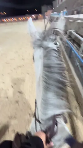 #CapCut #قفز_حواجز #خيل_وخياله🐎 #ابها #عسير#foryou 