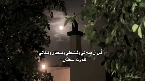 #بدر_التركي #قران #fyp 