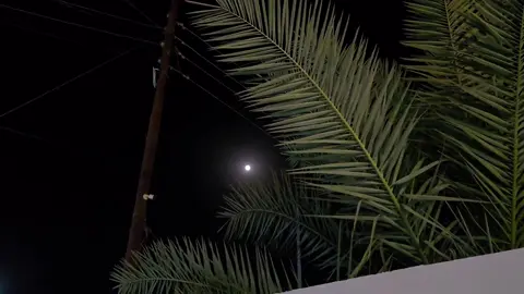 #غيث_صباح #تصويري 