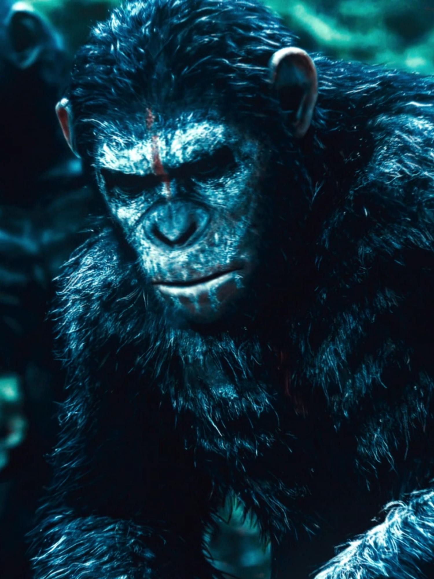 if yall don't see me post in a week or so is bc im on vacation ib: @bluu.aep #caesar #caesaredit #planetoftheapes #riseoftheplanetoftheapes #dawnoftheplanetoftheapes #warfortheplanetoftheapes