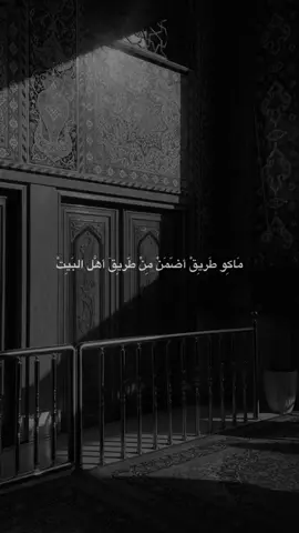 مَاكِو طَريِقْ أضّمَنْ مِنْ طّريِقَ أهَّل البَيِتْ🤍. #اكسبلورexplore #محمد_رضا_الشيرازي #العراق #كربلاء #العراق #ياسر١٤٢٥هـ 