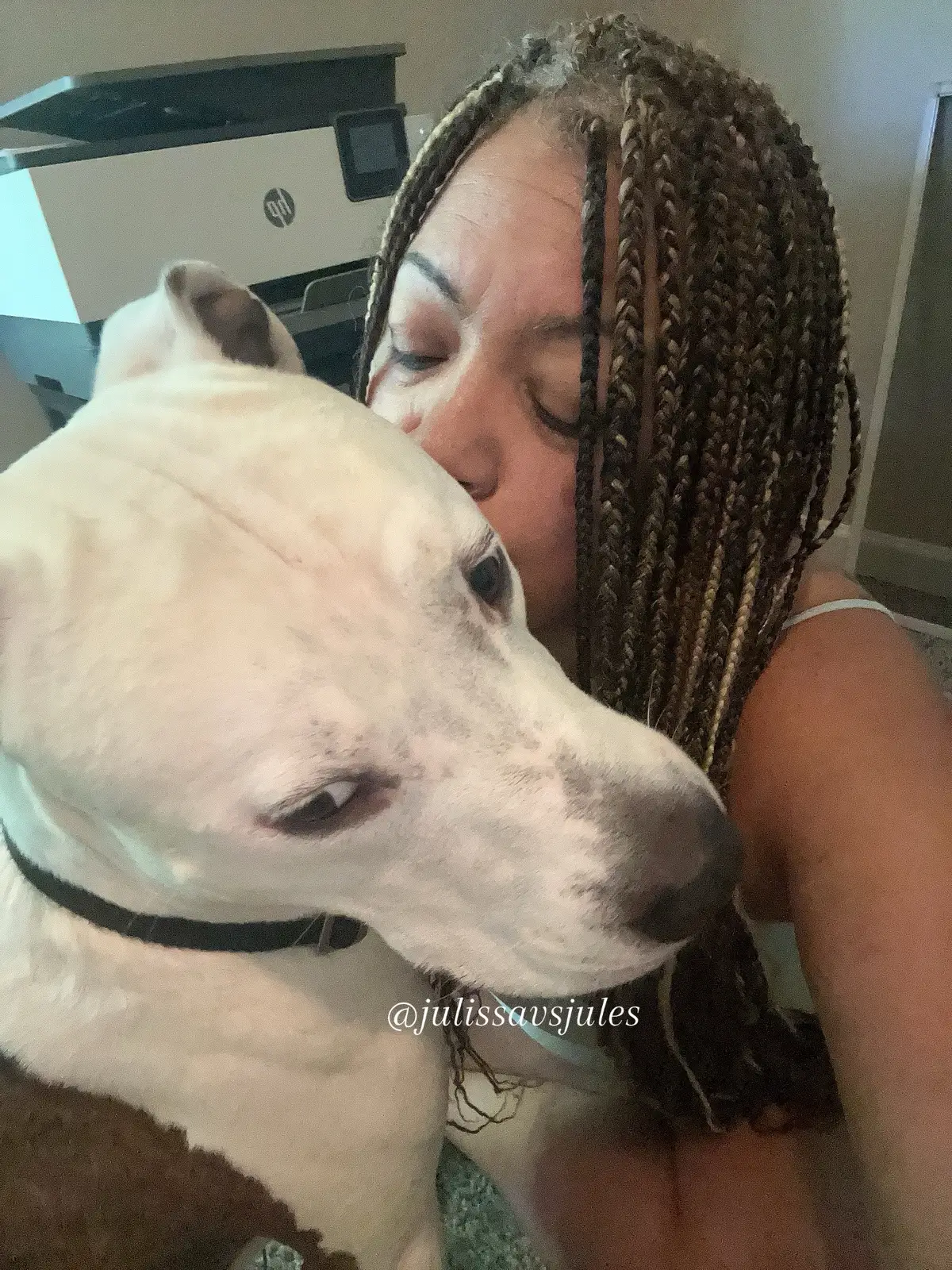 This dog has a wicked side eye when I pull a camera out… I’m just trying to give you millions of kisses 😚🐾#julissavsjules #boomer #dogsoftiktok 