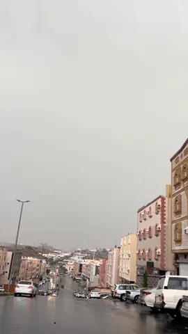 #الطائف 