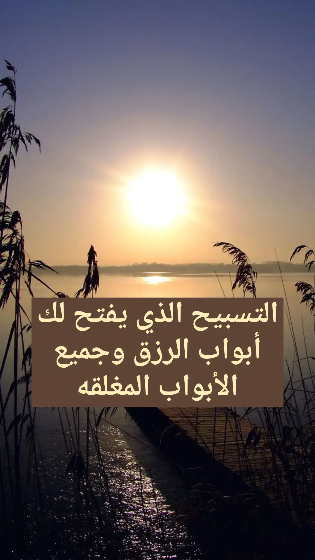 #اللهم_صلي_على_نبينا_محمد #parati #viral #bts #stitch #duet #tiktok 