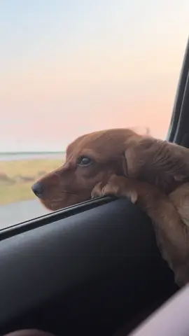 Sofinin Overthink saatı..