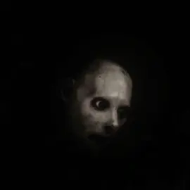 don’t watch this movie #possum2018 #edit 