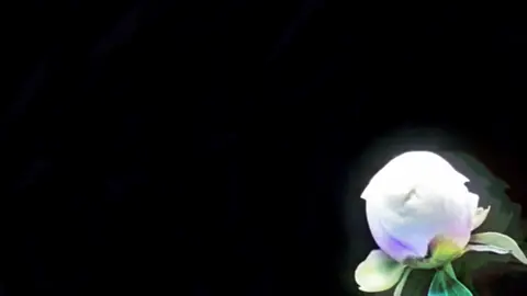 mitski. - #mitski 