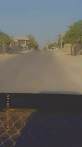 #كنصفرة💚🌝