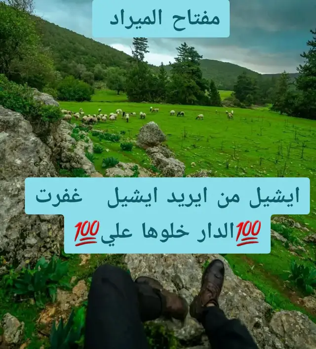 #ذواقين__الشعر_الشعبي #شعروقصايد #شعراء_وذواقين_الشعر_الشعبي #صوب_خليل_خلق_للجمله🎶❤🔥💔💔 #الشعب_الصيني_ماله_حل😂😂 