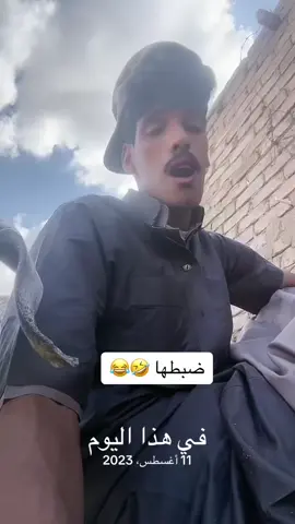 #في هذا اليوم 