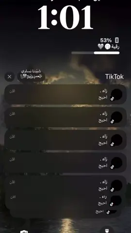@رَاء . احبج😔❤️#لايك #فولو #اغاني #tiktok 