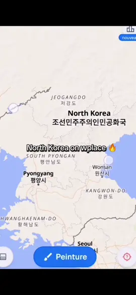 North Korea is at its peak on wplace 🔥 #wplace #northkorea #pixelart 