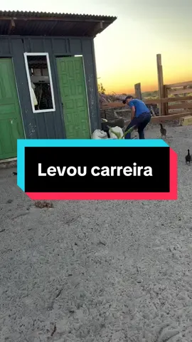 Da o milho se não o cudo pega 