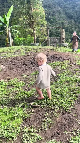 Anders and Anna playing in yard #offgrid #homestead #childrenplaying 