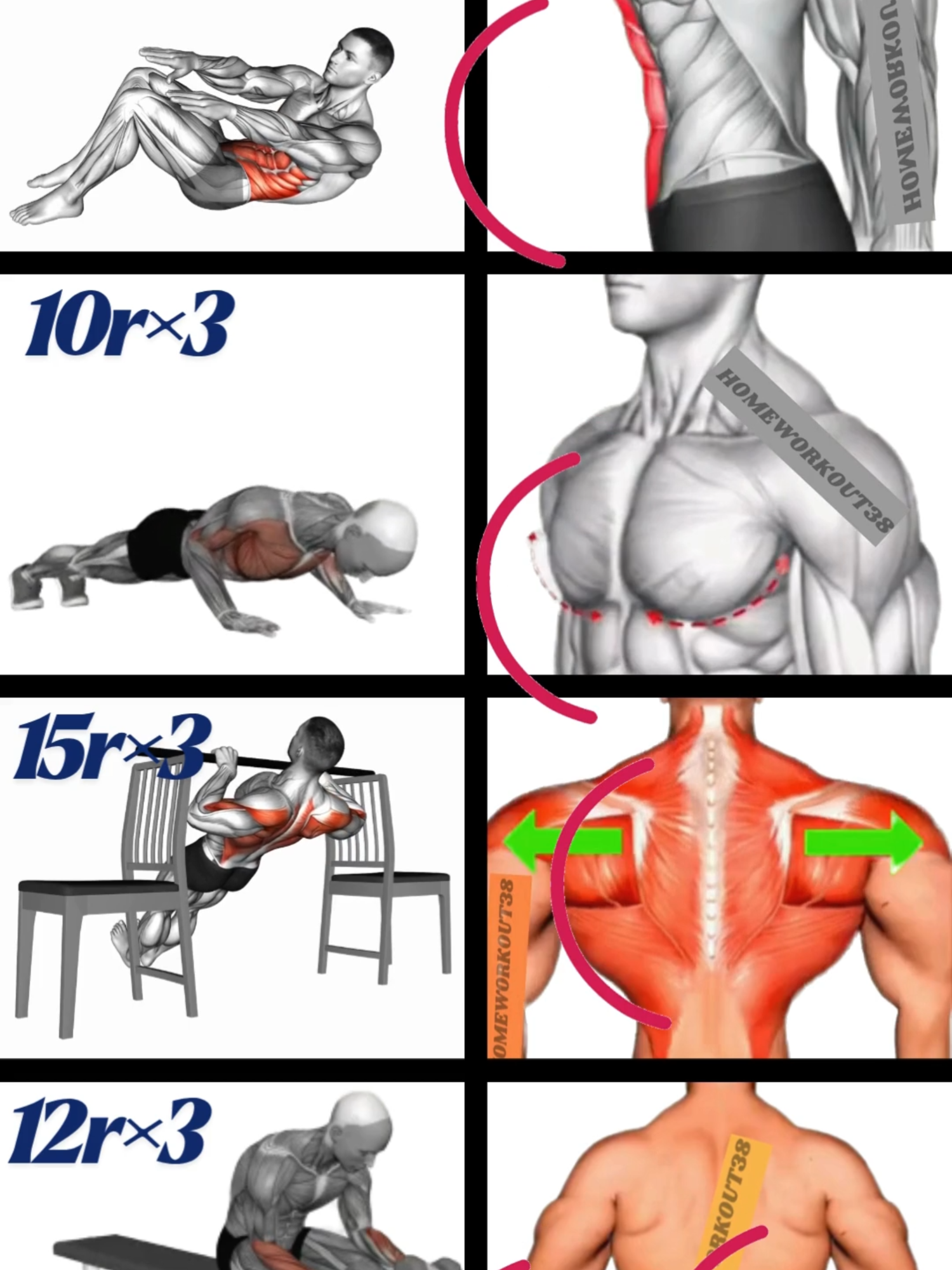 best home workout. #GymTok #muscle #exercise #Fitness #workout #workoutroutine #workouttips #fit #fitnesstips #motivation #workoutmotivaton #homeworkout