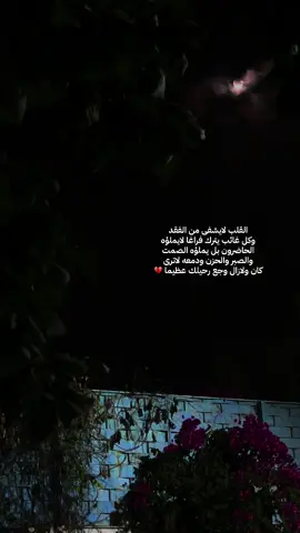 رحم الله كل روحا فقدنها وجمعنا بنم في جناته #فقيدي_أبي #فقيدي #حزن #فراق #قصايد #الباحه #الجنوب 