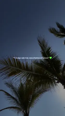 Escuchamos al Ferxxo 💚 #feid #ferxxo #ferxxomireligion #feidmireligion #feidoficial #ferxxomor #parati #Fyp #fypシ゚ #fypp #paratii #paratiiiiiiiiiiiiiiiiiiiiiiiiiiiiiii #playa #cielo #palmeras 