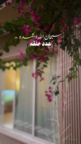 #سبحان الله وبحمده  #اقتباسات_خواطر_عبارات #ميما🇸🇦  #اكسبلورexplore 