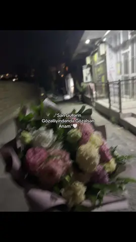 #qaribovs 