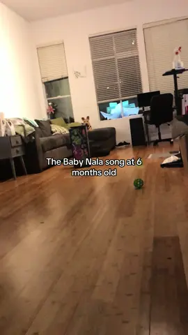 this song is the key to her heart, i tell them to sing it at the vet so she’ll trust them 🥹 #dogmom #souldog #nala #ilovemydog 