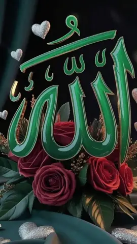 #الله  #يارب #يارب_فوضت_امري_اليك  #يارب❤️ #انت #ربي #لااله_الا_انت_سبحانك_اني_كنت_من_ظالمين 