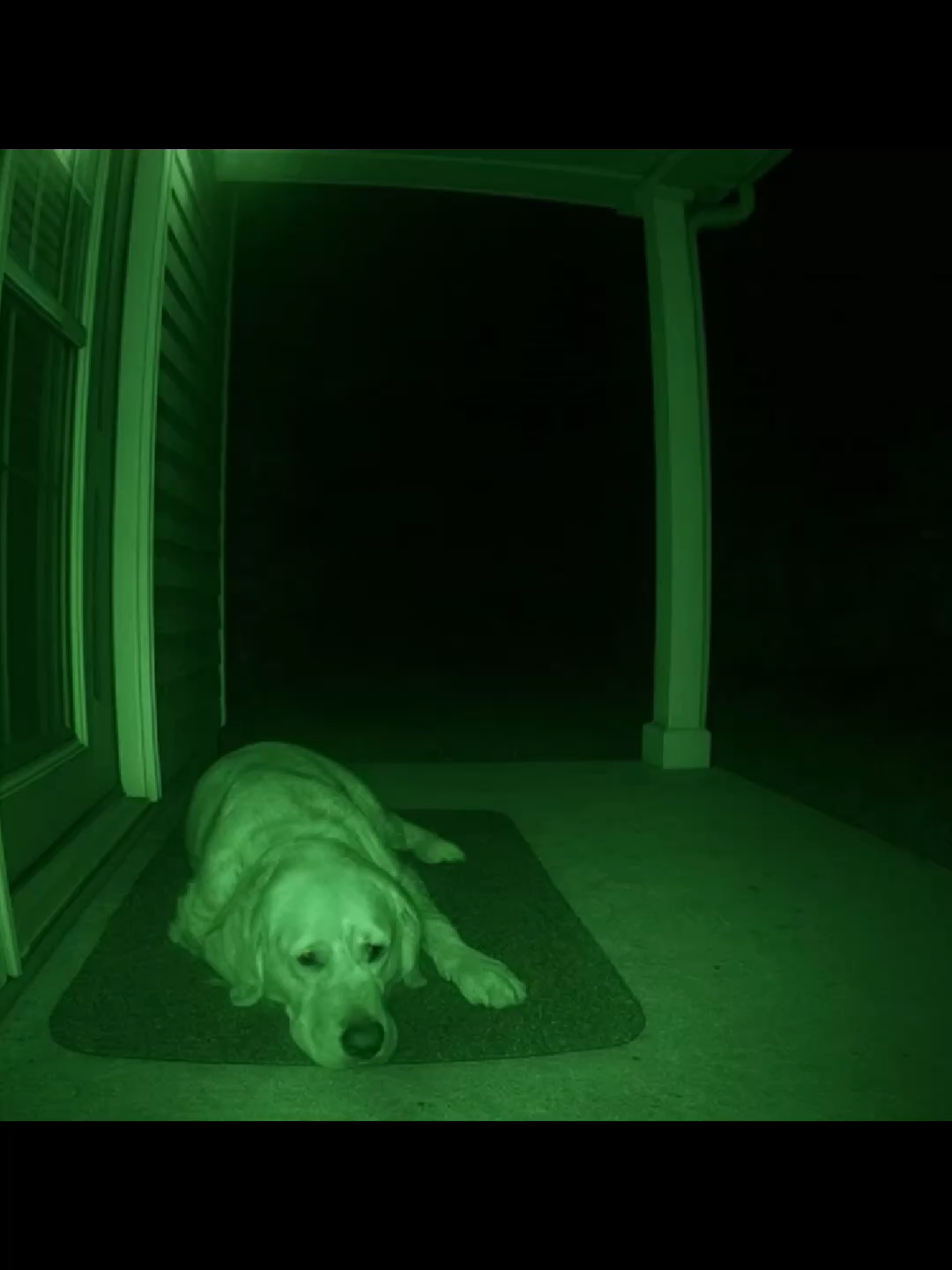 Manda praquele teu amigo(a). kkkkk  #camera #nightvision #fypシ゚ #funny #viral