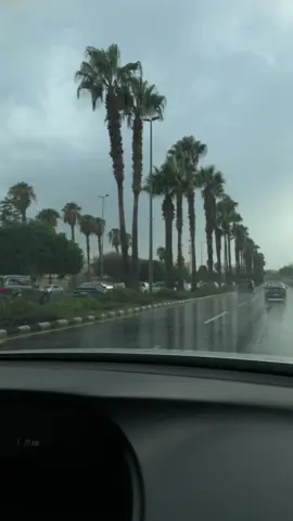 🩶 #أبها#اكسبلور#اكسبلورexplore#