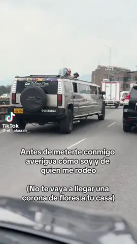 #ratonyqueso #carteldelosapos 