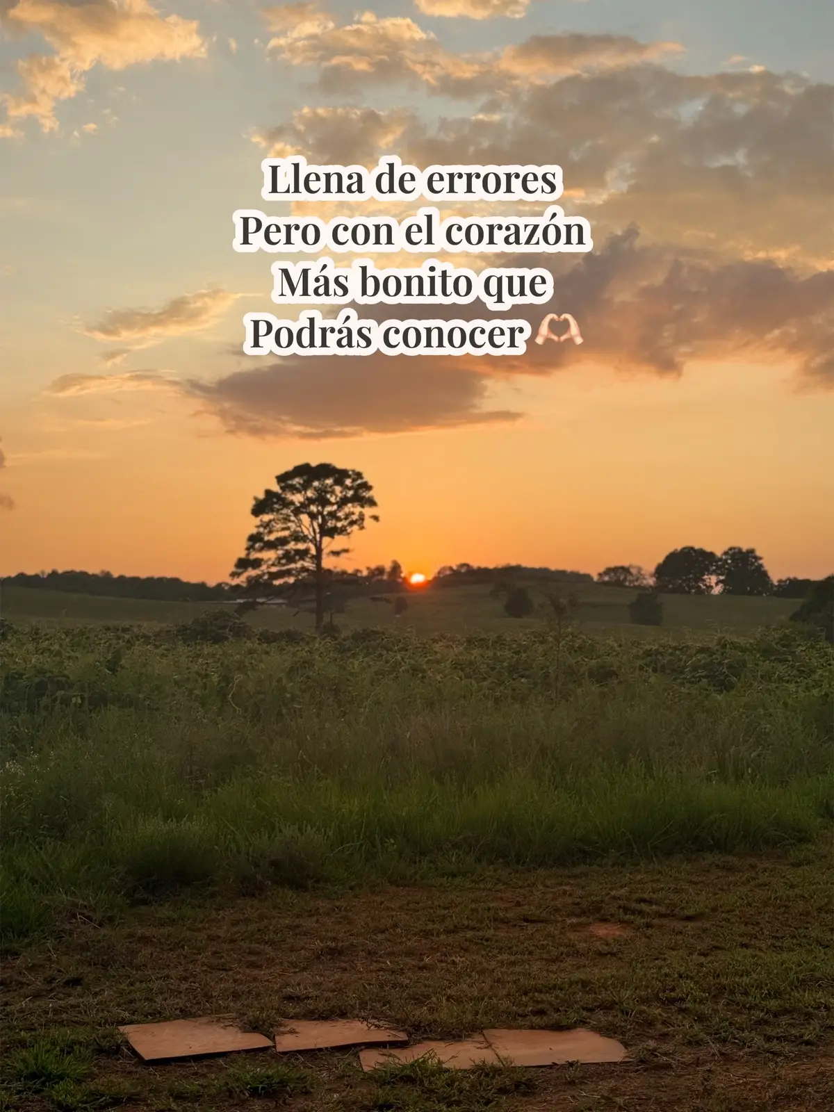 #atardecer #grupolimite #hastamañana 