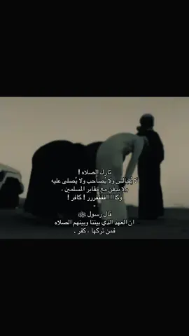 والباقيات الصالحات .                                     سبحان الله                                                        الحمدلله                                                            لا اله الا الله                                                 الله اكبر                                                       سبحان الله بحمده  سبحان الله العظيم  استغفر الله واتوب اليه. 