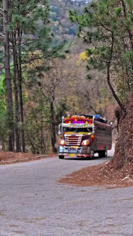 La Dallanita😍❤️‍🔥 @𝗘𝗗𝗗𝗨𝗔𝗥 𝗘𝗦𝗧𝗥𝗔𝗗𝗔🛫 @Nelson Estrada😎🇬🇹 @K8♡🇬🇹 @Elde laspatzuneras❤️‍🔥🔰 @🔰MANUEL XAJIL🚍🪽 @luissunuc09 #TRANS_MARIA_JOSE #busesguatemala #videoviral 
