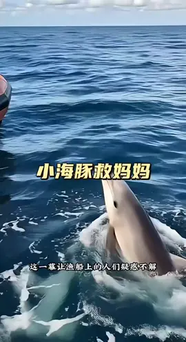 Join us to explore the blue ocean and rescue trapped fish. #treanding #xuhuong #2025 