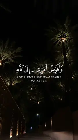 🤍🤍#سعد_ال_مخفور #قران_كريم #quran #قرآن #ارح_سمعك_بالقران #explore #fypシ゚ #اجر_لي_ولكم #وافوض_امري_الى_الله_ان_الله_بصير_بالعباد #foryoupage 