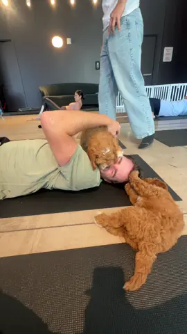 Holding puppies & poses thank you @PYC 