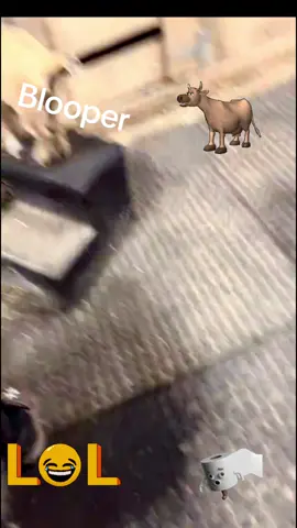 A funny TikTok live blooper from @@BasicWhiteButch #C#CowPoopPoopingP#PoopingCowA#AnimalsPoopingT#TikTokLiveBloopersC#CowPiec#cowpattyclips