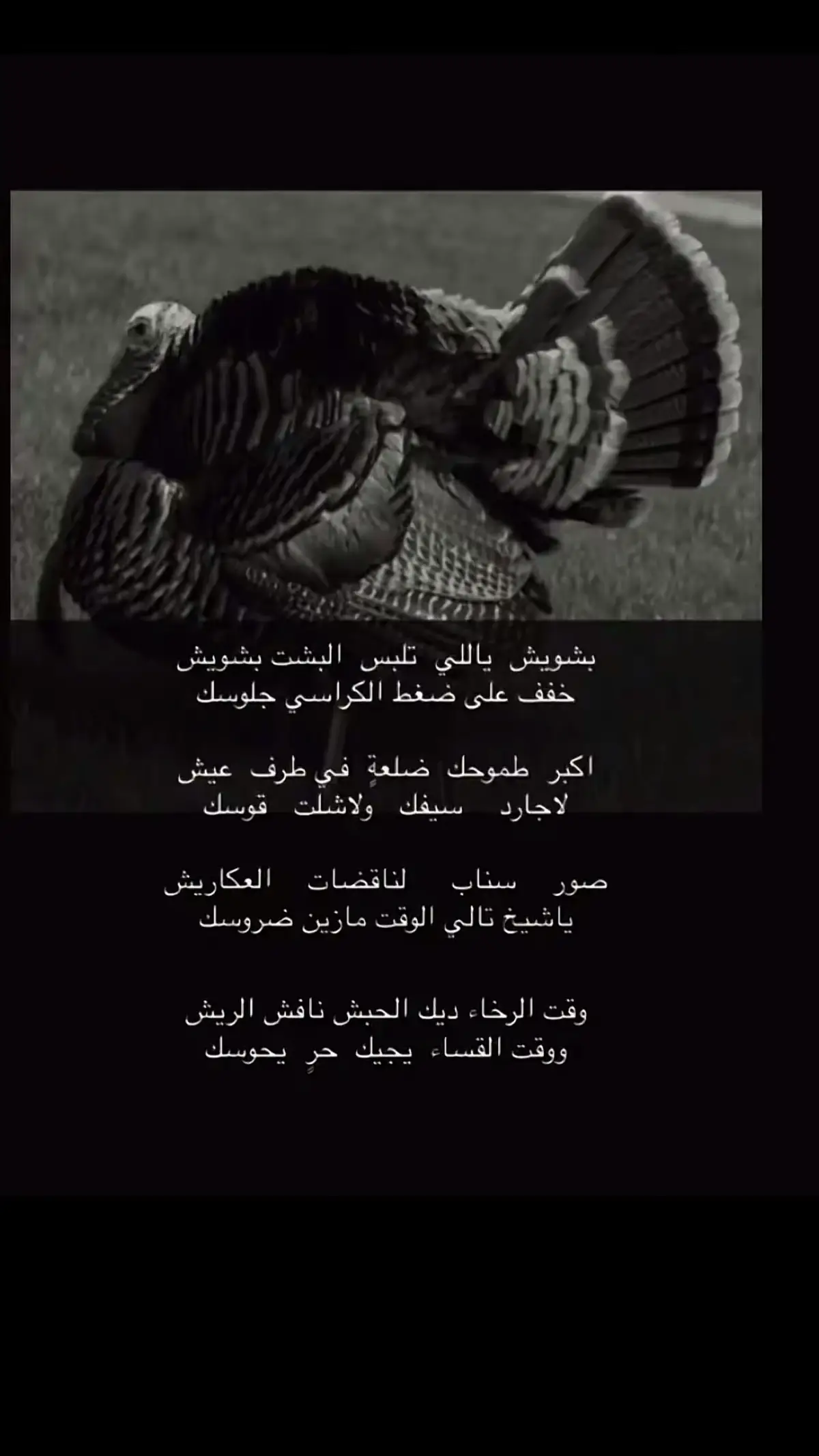 #شعر #قصيده #هواجيس #fyp #viral #explore #foryou #foryou 