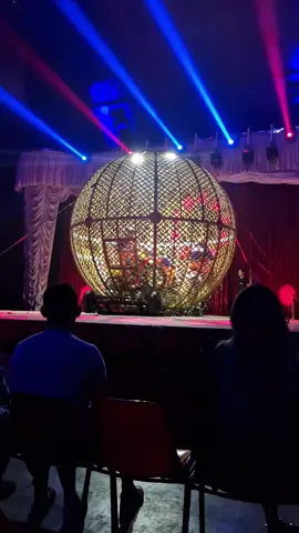 #globodamorte🎪 