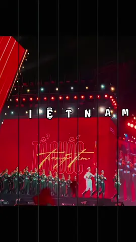 🇻🇳🇻🇳#toquoctrongtim #baonhandan #concertquocgia #vietnam #dieubinh 