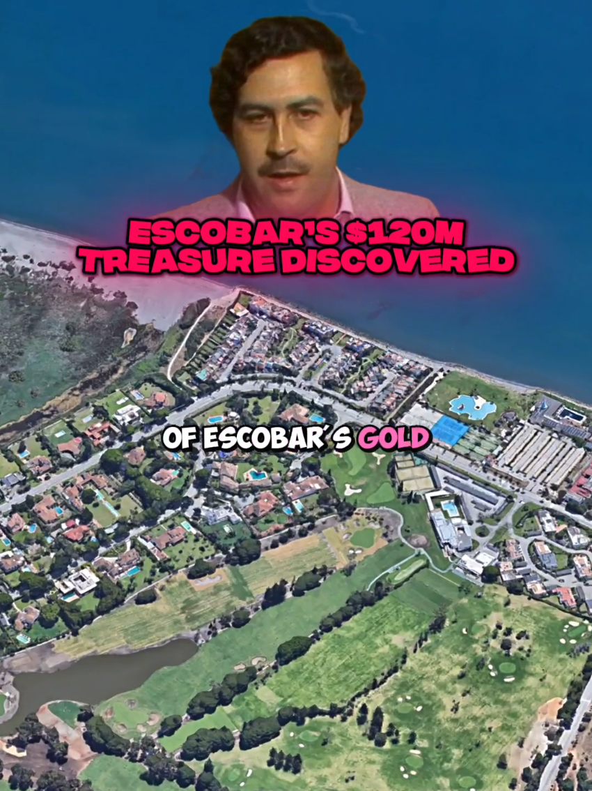 Escobar’s $120M Treasure Discovered by Farmer #Escobar #pablo #Treasure #conspiracytheory #fyp 