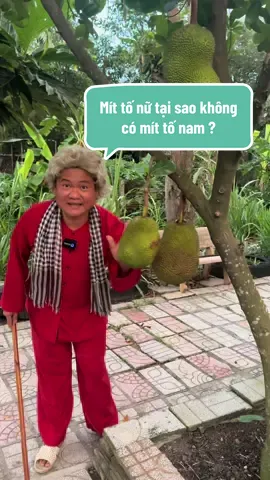 PHÁT HIỆN THẬT LÀ PHÁT HIỆN #hàihước #vuinhon #chu7hocmon #xuhuong 