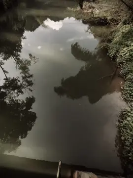其实等待并不可怕，可怕的是不知道何时是个尽头。''Thực ra, chờ đợi không đáng sợ, điều đáng sợ là không biết phải chờ đợi đến bao giờ...!#fyp #foryou 