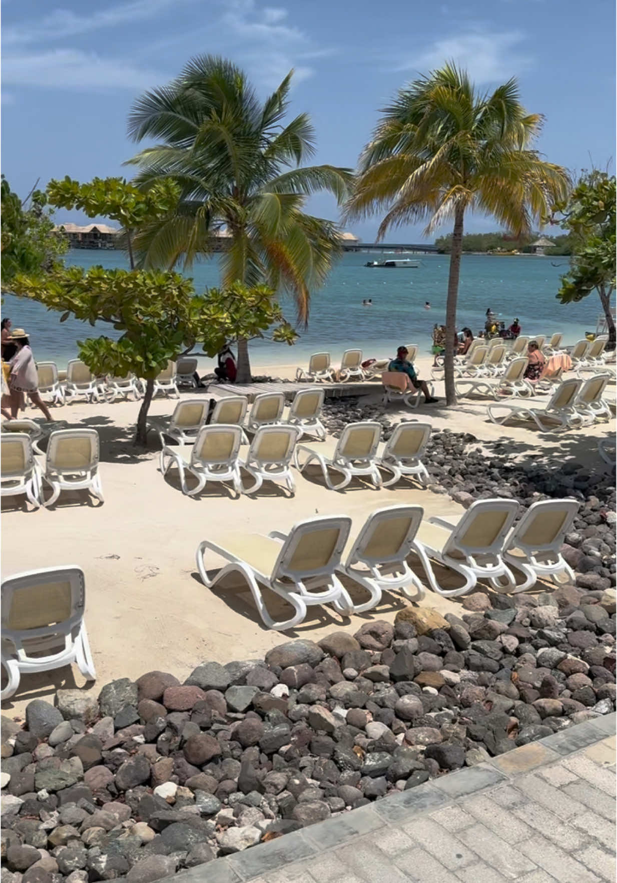 💛 ❤️ 💚 #fyp #riumontegobay