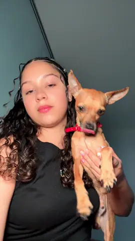 Mi perrito no queria video hshahab😂😂#delarose #viral #tiktok #paraaaaaaaatiiiiiiiiiiiiiiiiiiiiiiii 