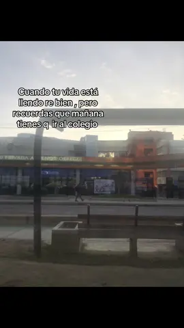 Mi vida estaba llendo bien pero recordé: #regresoaclases #parati #fypシ゚ #viral 