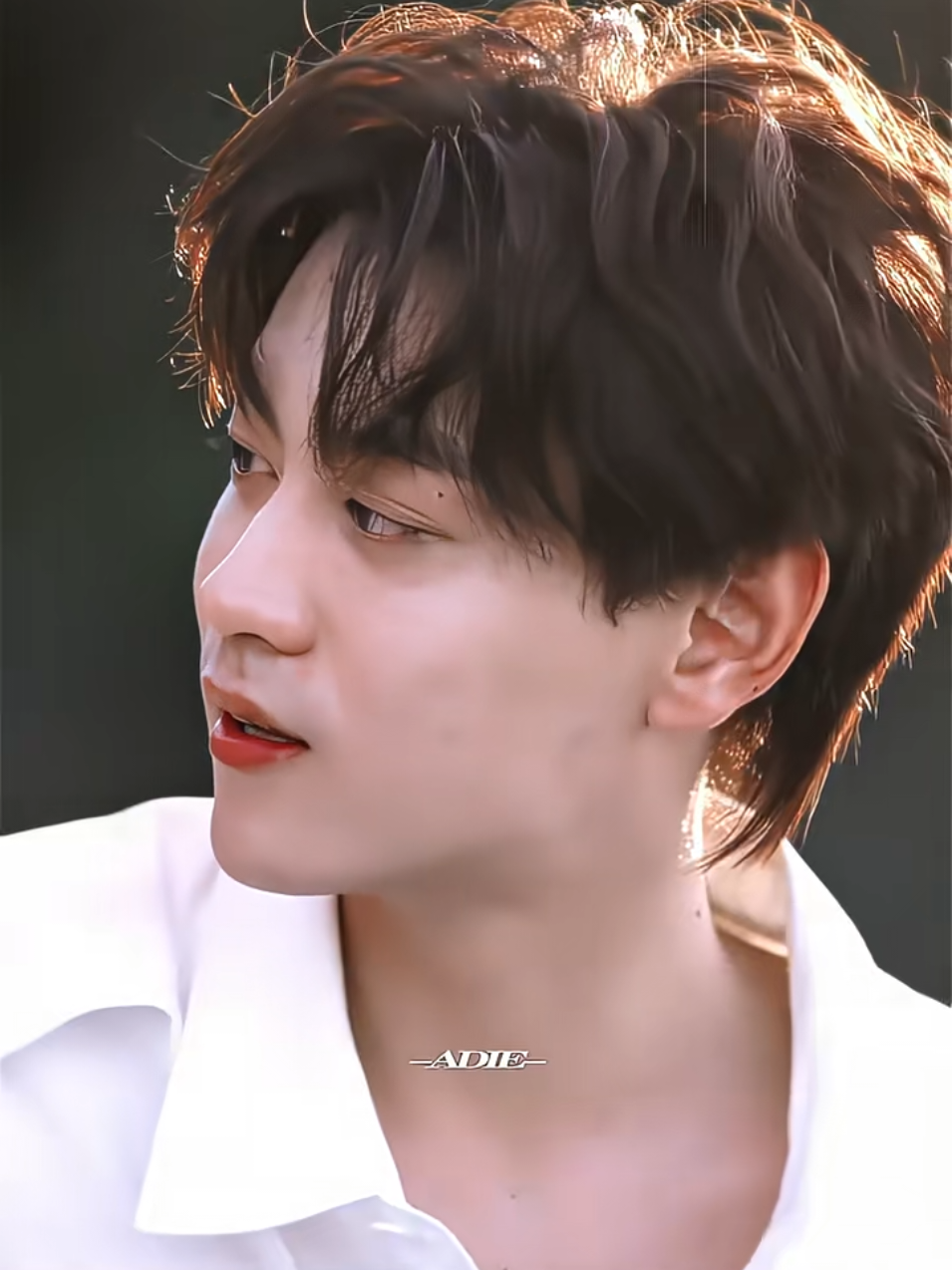 Ù wao~ có cần phải đẹp trai như vậy hông ạ😍❤️❤️ ______________ #tianxuning #dienhuninh #trisinh #RevengedLove #nghichai #xh #fyp 