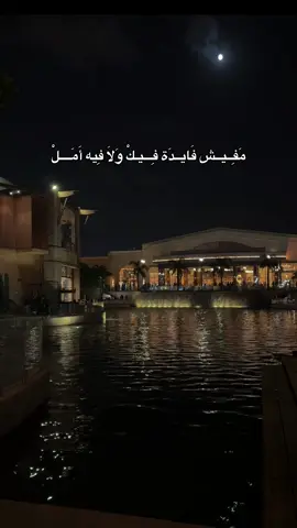 بينك وبيني اتقفلو كل البيبان ❤️‍🩹 @🎙𝕞𝕒𝕘𝕖𝕕 𝕪𝕒𝕤𝕖𝕟🎙 #foryou #fyp #تصميم_فيديوهات🎶🎤🎬 #اكسبلور 